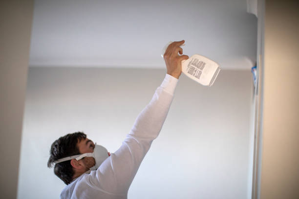 Best Mold Testing and Inspection Services in Midlothian, TX